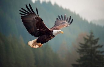 Nije vam jasno zašto vam se neke stvari događaju? OVA priča će vam dati važne odgovore!