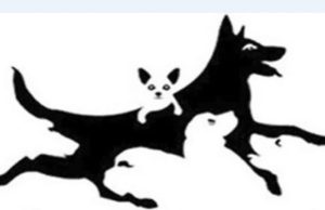 Saznajte koliko je mlad vaš mozak: Optički test koji precizno otkriva vašu mentalnu starost