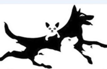 Saznajte koliko je mlad vaš mozak: Optički test koji precizno otkriva vašu mentalnu starost