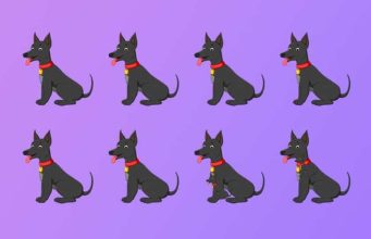 Mozgalica koja je zbunila mnoge: Koliko pasa ima na fotografiji?