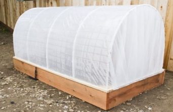 Uradi sam: Kako napraviti mini plastenik idealan za baštu i terasu