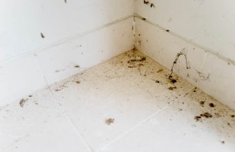 OVE SITNICE ODAJU NEUREDNOST – 6 znakova da vam kuća nije čista kako mislite