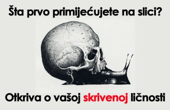 PAŽLJIVO POGLEDAJTE: Ono što prvo primijetite na slici, otkriva o vašoj skrivenoj ličnosti