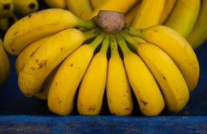 Jedete banane svaki dan? Evo šta time činite za organizam i zdravlje